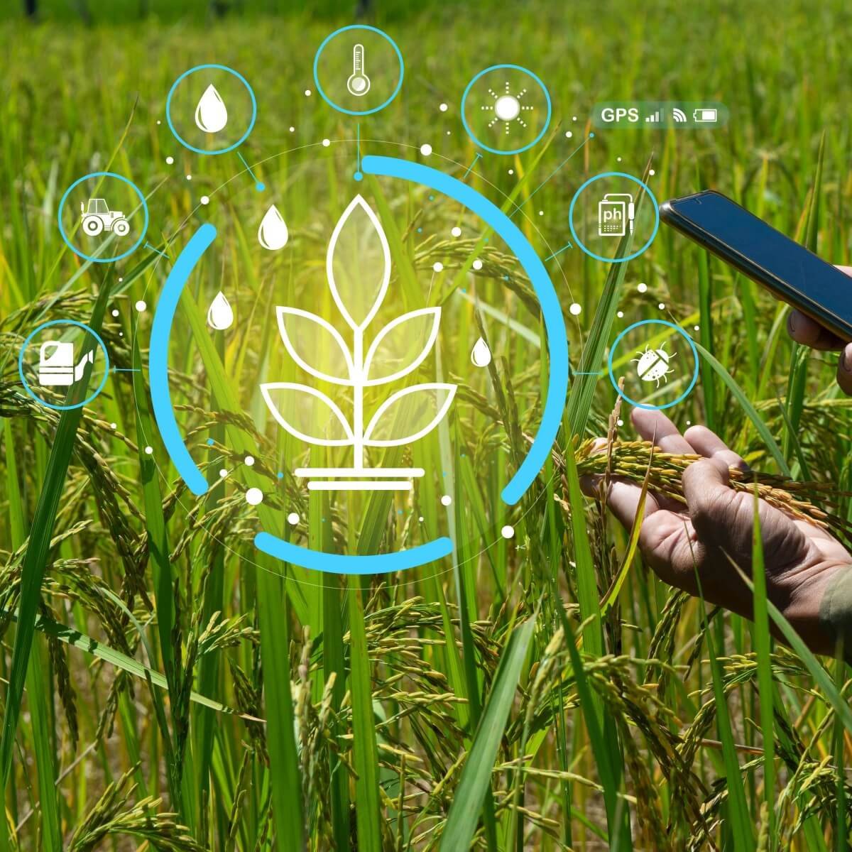 Innovación tecnológica sostenible
