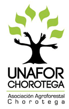 Logo unafor